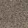 Mohawk Carpet: Soft Appeal II Andora